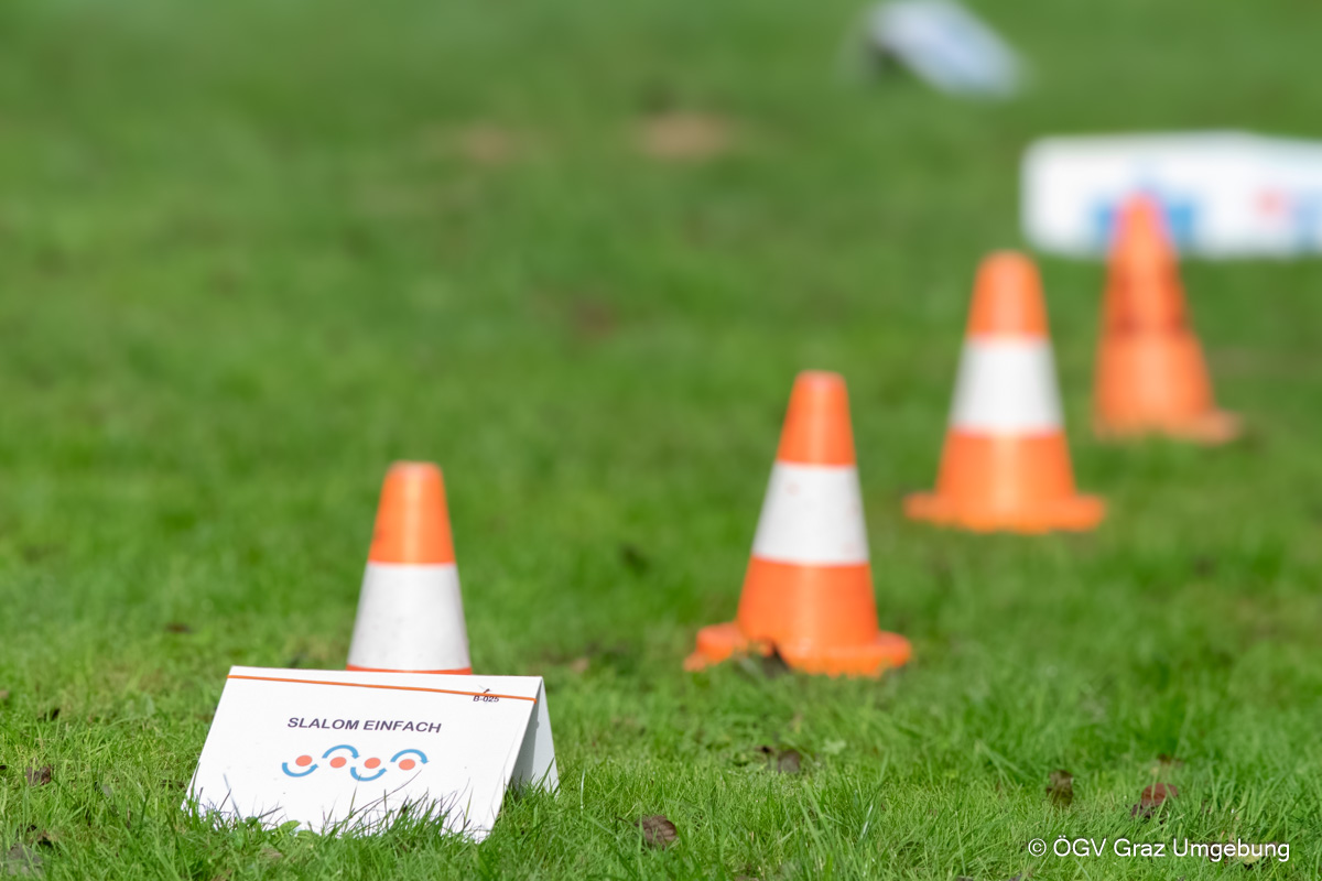 Hundesportveranstaltung beim ÖGV Graz Umgebung