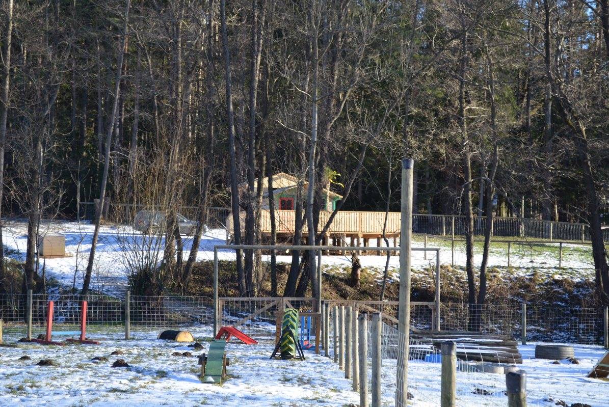 Entstehung des Vereinsgeländes der Hundeschule